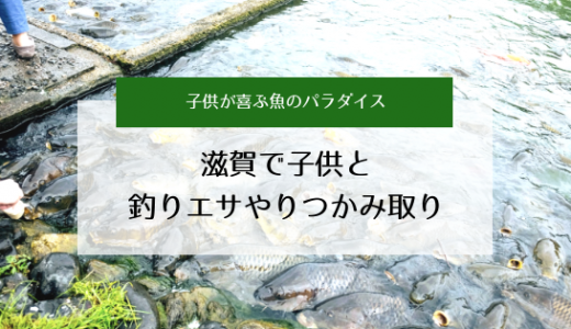 滋賀で子供と釣り 鯉の餌やり 鮎つかみ取りを楽しめる南郷水産センターへ行ってきた