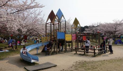 湖南市の大型公園 じゅらくの里で子供が大喜びでした｜料金・アクセス・遊具情報
