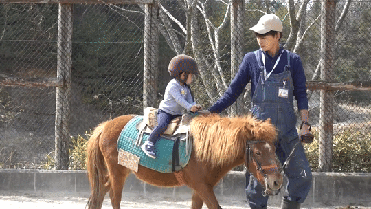 ポニーの乗馬体験は無料で楽しめます！息子氏は怖かったそうですｗ